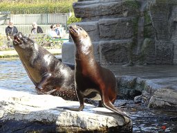 Tiergarten Schönbrunn am 23.03.2023